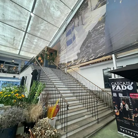 Apartment Tucano's Nest *