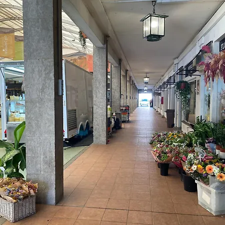 דירה Tucano's Nest קסקאיס