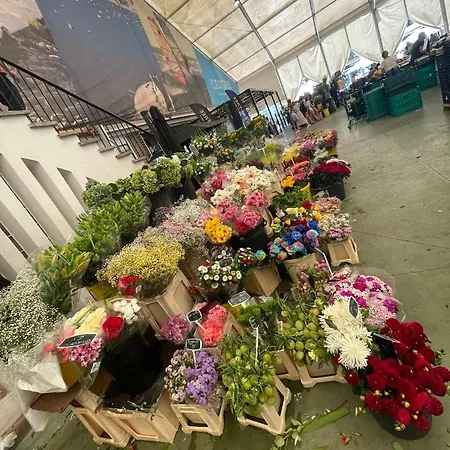 דירה Tucano's Nest קסקאיס