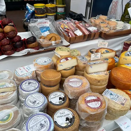 Tucano's Nest דירה *